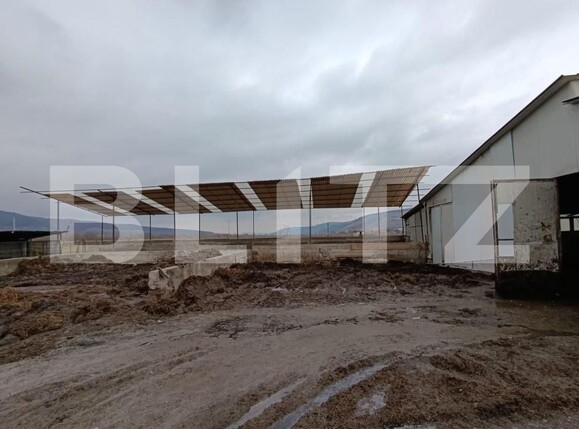 Spațiu industrial de vânzare Valea Lunga - 186944SVI | BLITZ Alba Iulia | Poza6