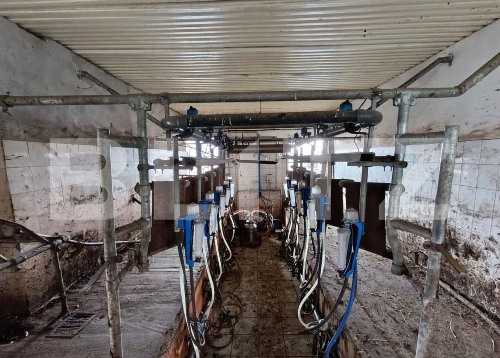 Spațiu industrial de vânzare Valea Lunga - 186944SVI | BLITZ Alba Iulia | Poza7