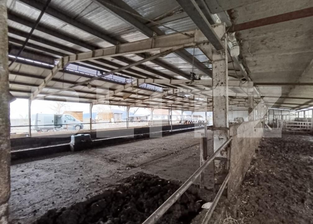 Spațiu industrial de vânzare Valea Lunga - 186944SVI | BLITZ Alba Iulia | Poza2