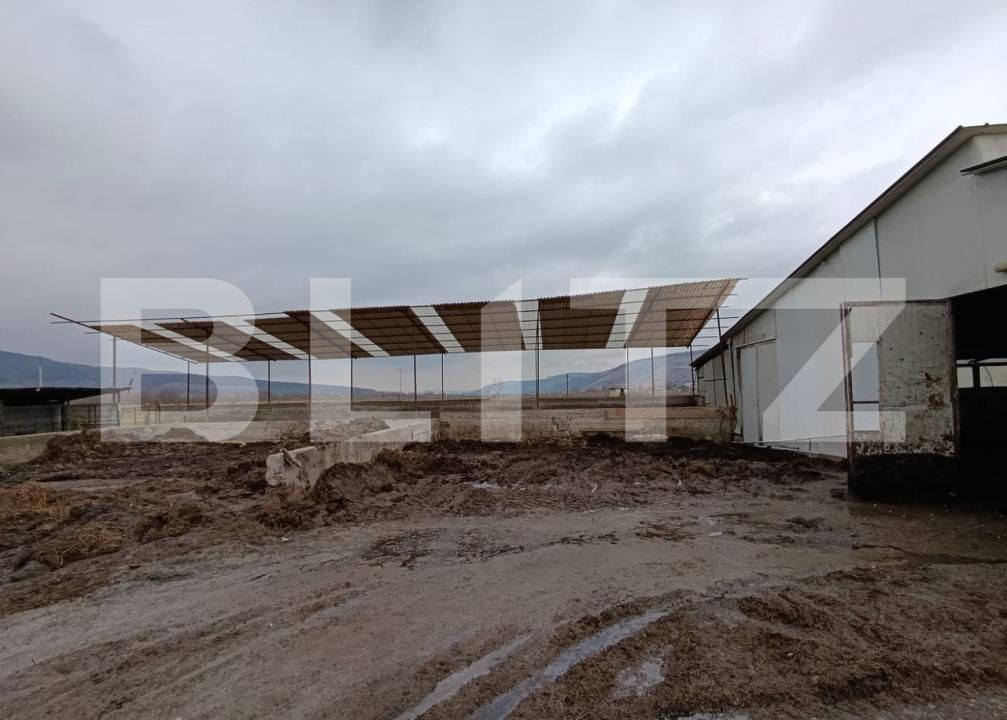 Spațiu industrial de vânzare Valea Lunga - 186944SVI | BLITZ Alba Iulia | Poza6