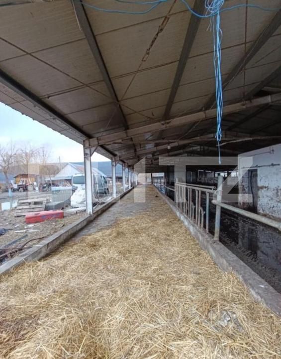 Spațiu industrial de vânzare Valea Lunga - 186944SVI | BLITZ Alba Iulia | Poza5