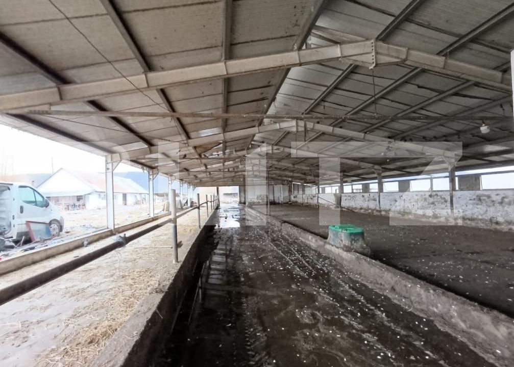 Spațiu industrial de vânzare Valea Lunga - 186944SVI | BLITZ Alba Iulia | Poza4