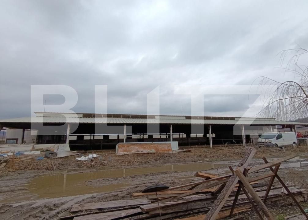 Spațiu industrial de vânzare Valea Lunga - 186944SVI | BLITZ Alba Iulia | Poza3