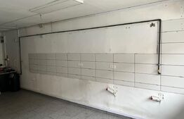 Spatiu comercial de inchiriat, 27 mp, zona Cetate - Spital