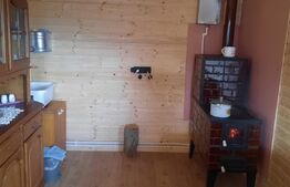 Cabana superbă din bârne de lemn, zona montana – Șugag