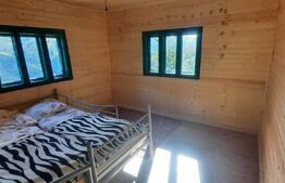 Cabana superbă din bârne de lemn, zona montana – Șugag