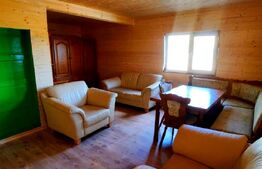 Cabana superbă din bârne de lemn, zona montana – Șugag