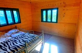 Cabana superbă din bârne de lemn, zona montana – Șugag
