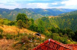 Cabana superbă din bârne de lemn, zona montana – Șugag