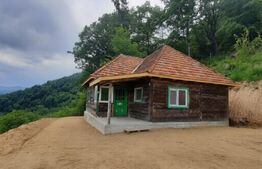 Cabana superbă din bârne de lemn, zona montana – Șugag
