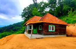 Cabana superbă din bârne de lemn, zona montana – Șugag
