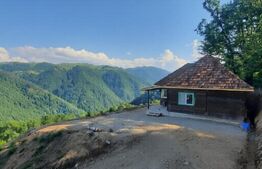 Cabana superbă din bârne de lemn, zona montana – Șugag