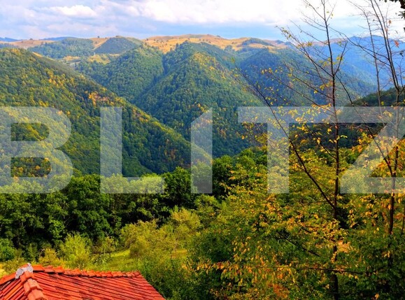Casa de vânzare 3 camere Sugag - 187209CV | BLITZ Alba Iulia | Poza4