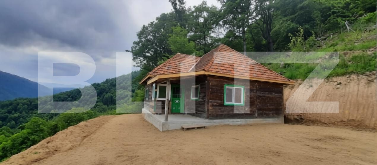 Casa de vânzare 3 camere Sugag - 187209CV | BLITZ Alba Iulia | Poza3