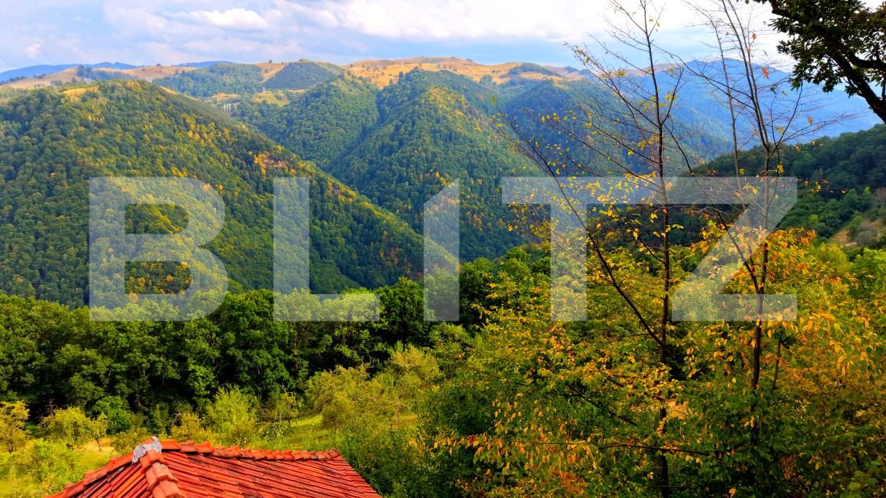 Casa de vânzare 3 camere Sugag - 187209CV | BLITZ Alba Iulia | Poza4