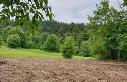 Teren intravilan 923 mp, Bucium catre Detunata