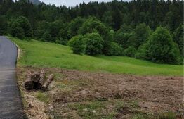 Teren intravilan 923 mp, Bucium catre Detunata