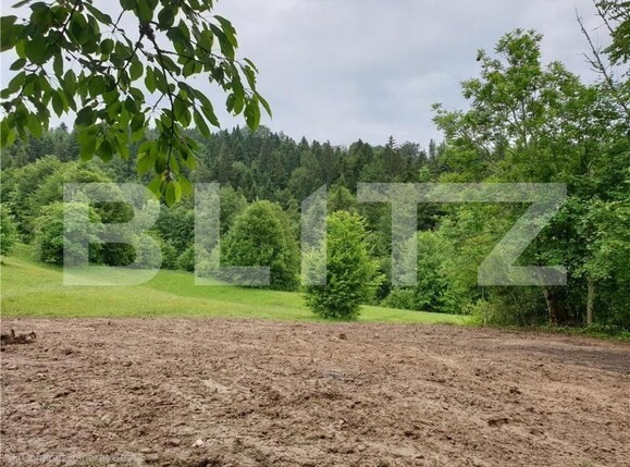 Teren de vânzare Bucium - 187458TV | BLITZ Alba Iulia | Poza1
