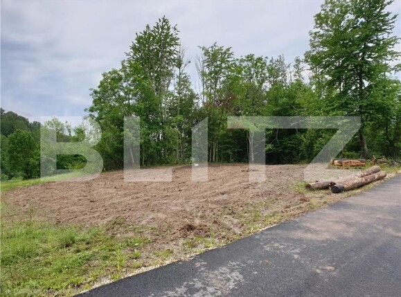 Teren de vânzare Bucium - 187458TV | BLITZ Alba Iulia | Poza1