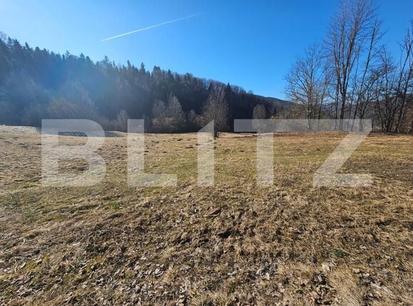 Teren de vânzare Bucium - 187458TV | BLITZ Alba Iulia | Poza3
