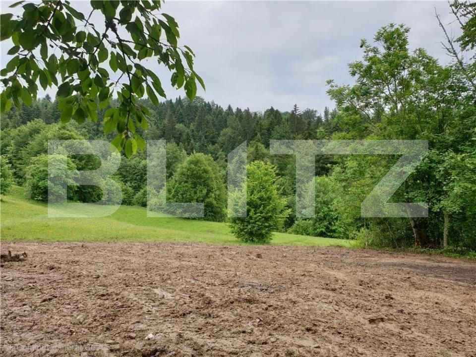 Teren de vânzare Bucium - 187458TV | BLITZ Alba Iulia | Poza2