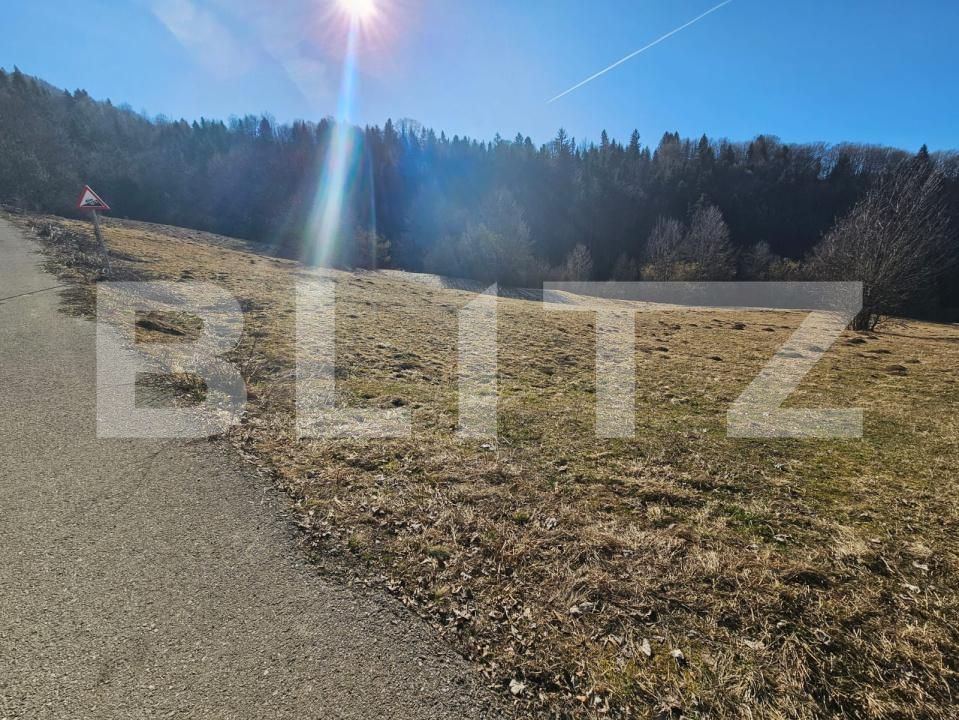 Teren de vânzare Bucium - 187458TV | BLITZ Alba Iulia | Poza4
