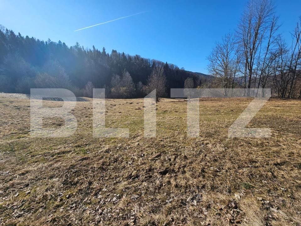 Teren de vânzare Bucium - 187458TV | BLITZ Alba Iulia | Poza5