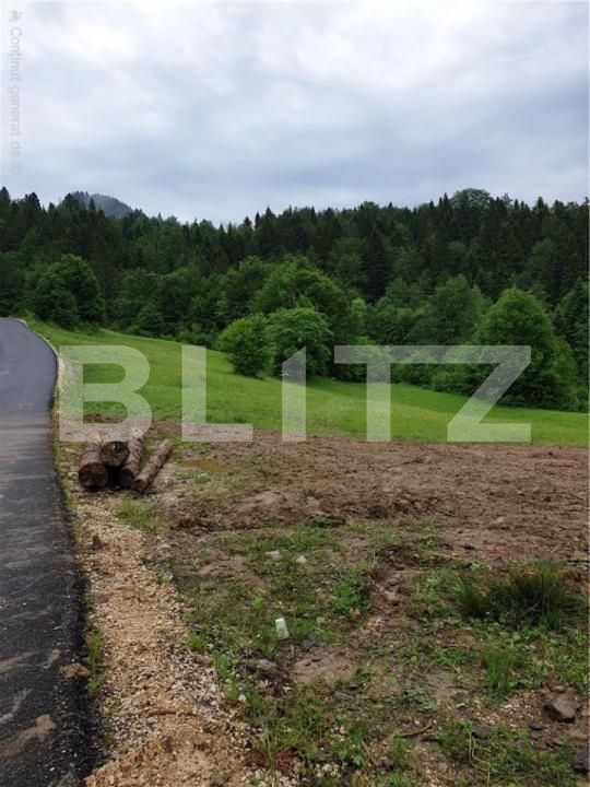Teren de vânzare Bucium - 187458TV | BLITZ Alba Iulia | Poza3