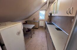 Casă 345mp utili, teren 1.342mp, se poate  parcela terenul. Potential Comercial 