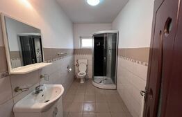 Casă 345mp utili, teren 1.342mp, se poate  parcela terenul. Potential Comercial 