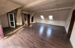 Casă 345mp utili, teren 1.342mp, deschidere la stradă 78m, potențial comercial