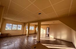 Casă 345mp utili, teren 1.342mp, se poate  parcela terenul. Potential Comercial 