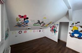 Casă 345mp utili, teren 1.342mp, se poate  parcela terenul. Potential Comercial 