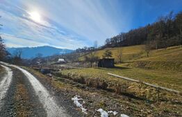 Teren intravilan de 1.867 mp în Câmpeni