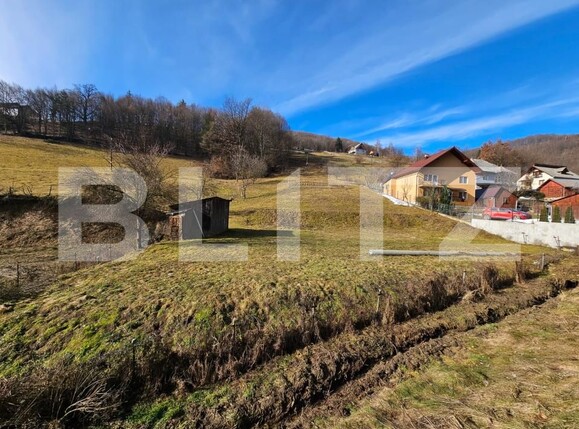 Teren de vânzare Campeni - 187826TV | BLITZ Alba Iulia | Poza2