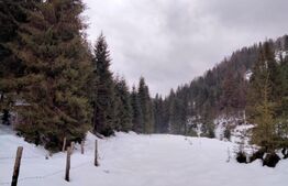 Cabanǎ cochetǎ la marginea pǎdurii – Dealul Bajului