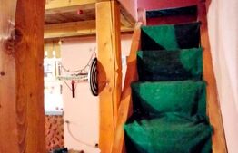 Cabanǎ la marginea pǎdurii – Arieşeni, Dealul Bajului