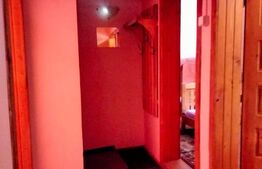 Cabanǎ cochetǎ la marginea pǎdurii – Dealul Bajului