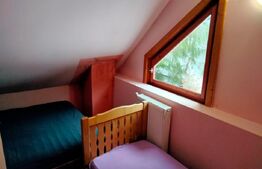 Cabanǎ cochetǎ la marginea pǎdurii – Dealul Bajului