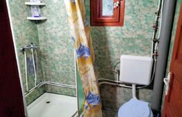 Cabanǎ cochetǎ la marginea pǎdurii – Dealul Bajului