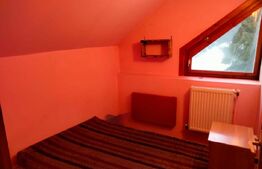 Cabanǎ cochetǎ la marginea pǎdurii – Dealul Bajului