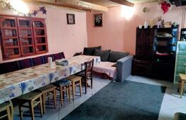 Cabanǎ cochetǎ la marginea pǎdurii – Dealul Bajului