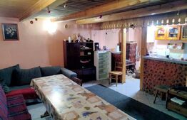 Cabanǎ cochetǎ la marginea pǎdurii – Dealul Bajului