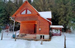 Cabanǎ la marginea pǎdurii – Arieşeni, Dealul Bajului