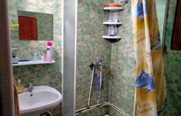 Cabanǎ cochetǎ la marginea pǎdurii – Dealul Bajului