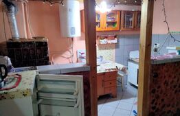 Cabanǎ la marginea pǎdurii – Arieşeni, Dealul Bajului