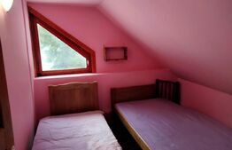 Cabanǎ la marginea pǎdurii – Arieşeni, Dealul Bajului