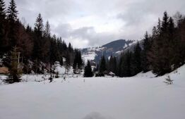 Cabanǎ cochetǎ la marginea pǎdurii – Dealul Bajului