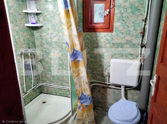 Casa de vânzare 5 camere Dealu Bajului - 187828CV | BLITZ Alba Iulia | Poza14