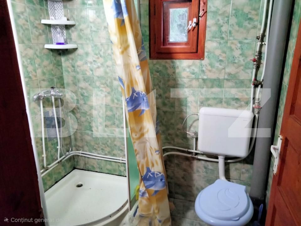 Casa de vânzare 5 camere Dealu Bajului - 187828CV | BLITZ Alba Iulia | Poza14